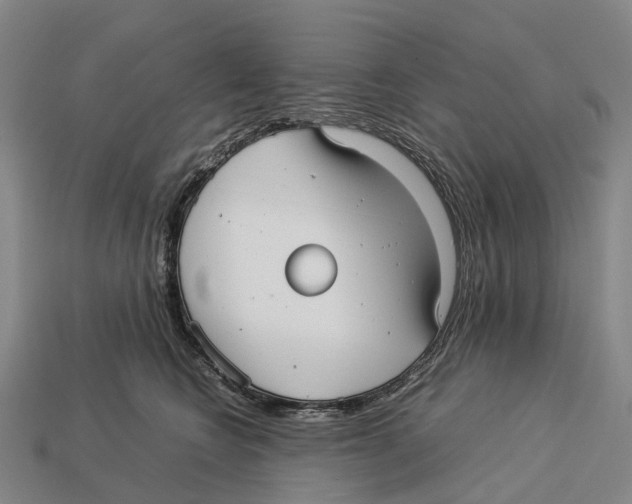 X0000113110566200909251055