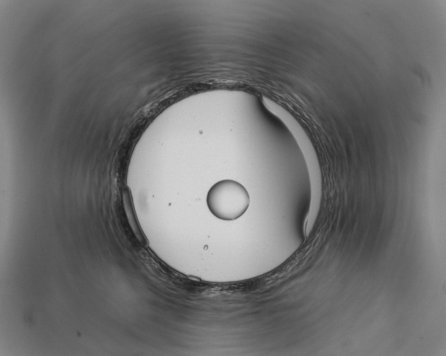 X0000113110568200909251055