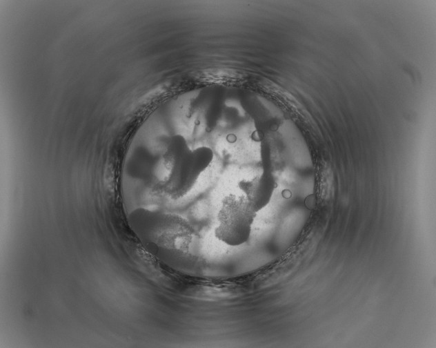 X0000113110569200909251055