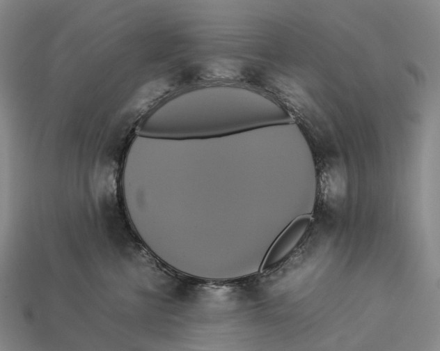 X0000113110570200909251055