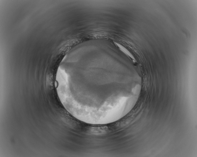 X0000113110571200909251055