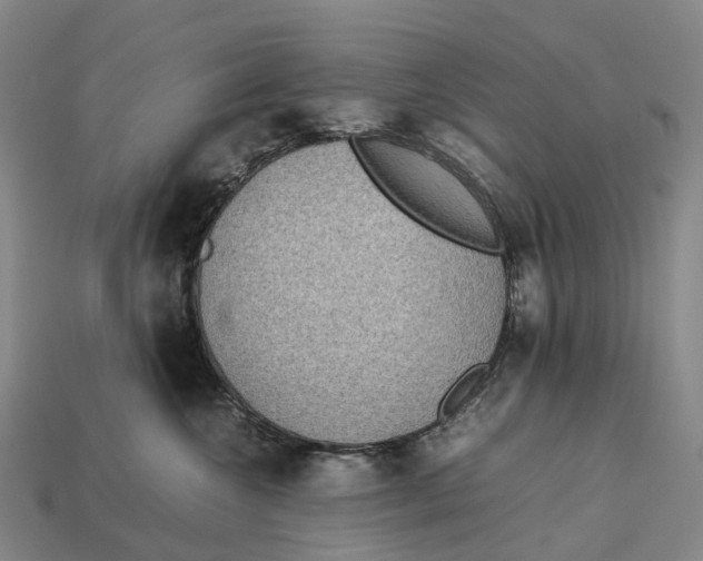 X0000113110572200909251055