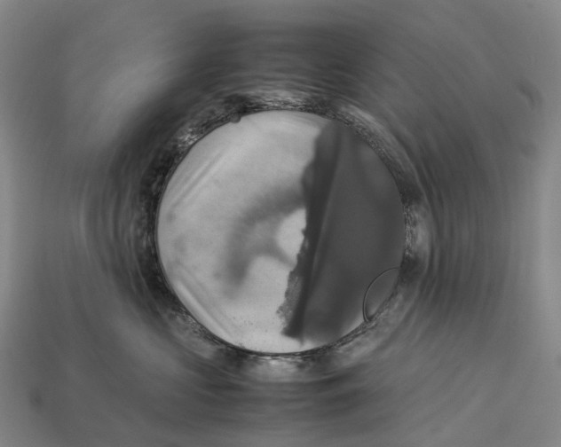 X0000113110573200909251055