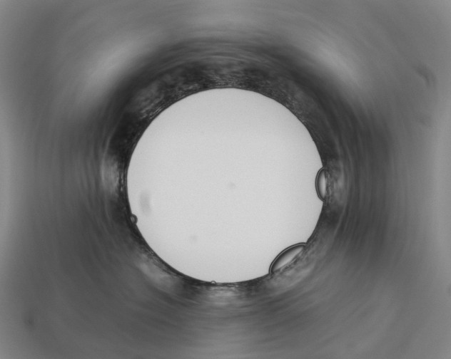 X0000113110574200909251055