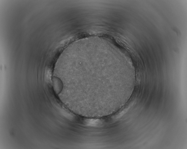 X0000113110575200909251055