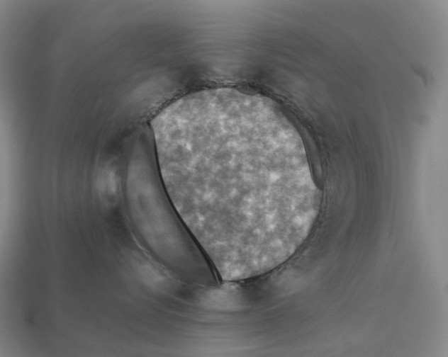 X0000113110576200909251055