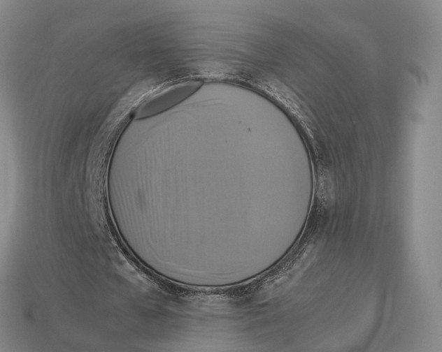 X0000113110577200909251054
