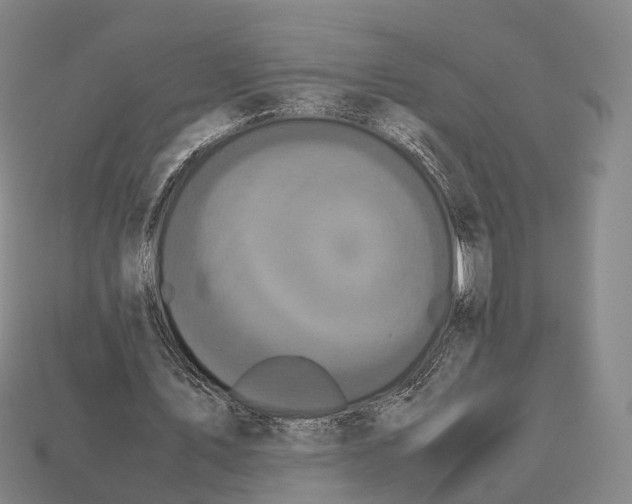 X0000113110579200909251054