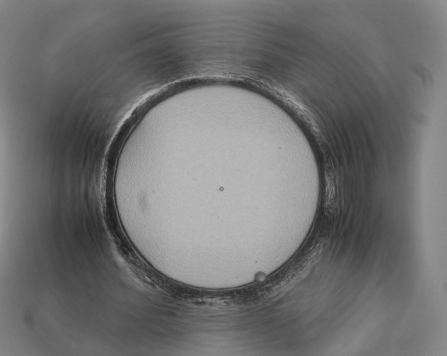 X0000113110580200909251054