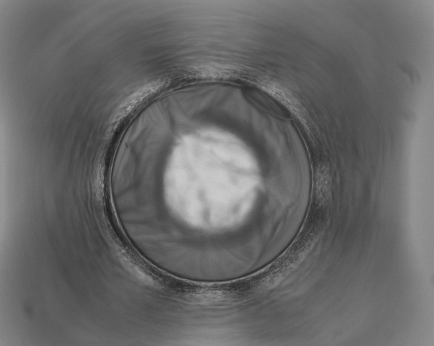 X0000113110581200909251054