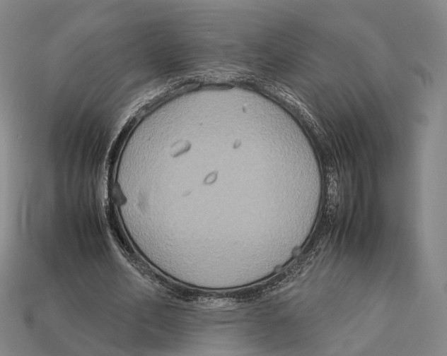 X0000113110582200909251054