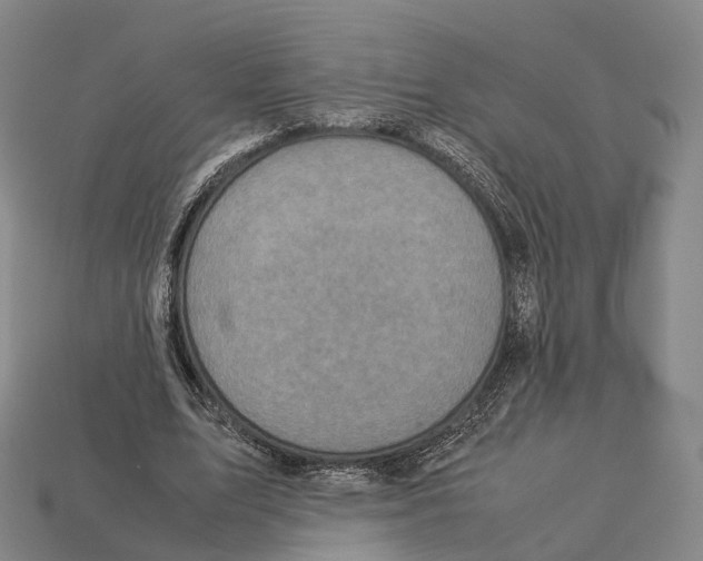 X0000113110583200909251054