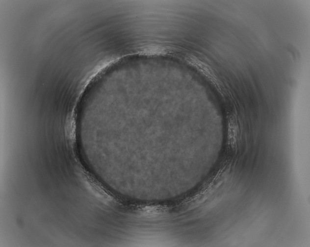 X0000113110584200909251054