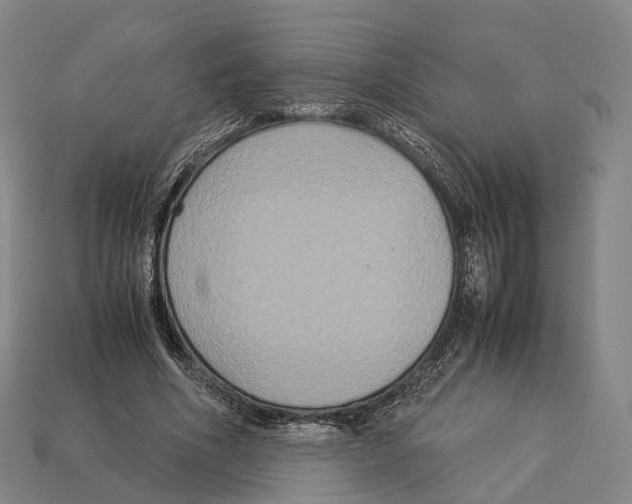 X0000113110586200909251054