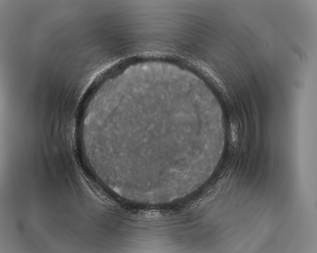X0000113110588200909251054