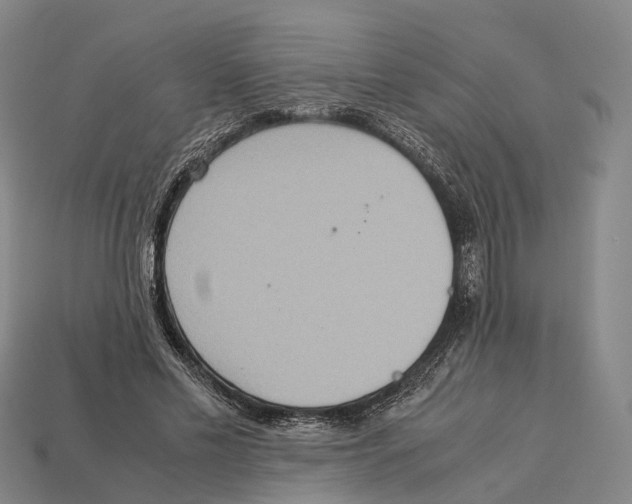 X0000113110589200909251054
