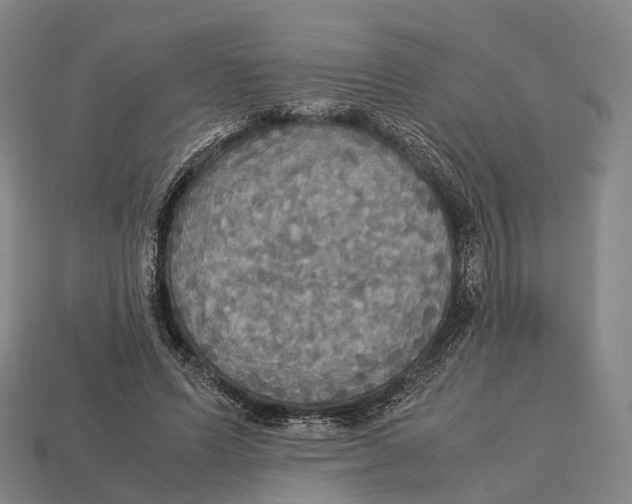 X0000113110591200909251054