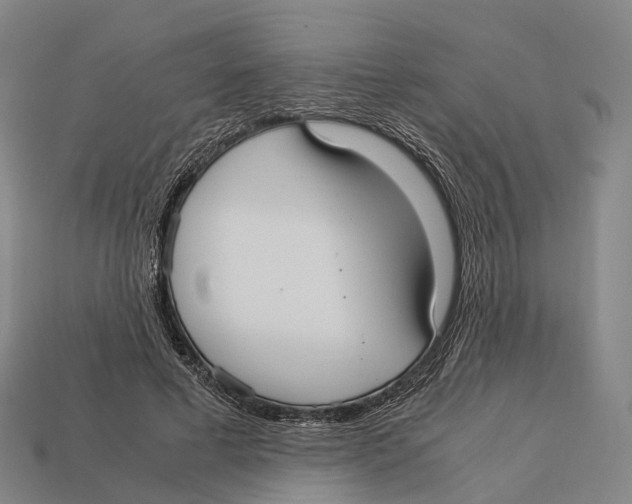 X0000113110593200909251054