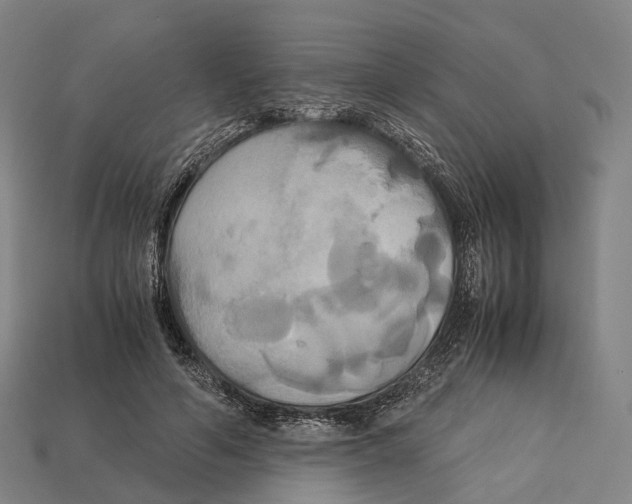 X0000113110594200909251054