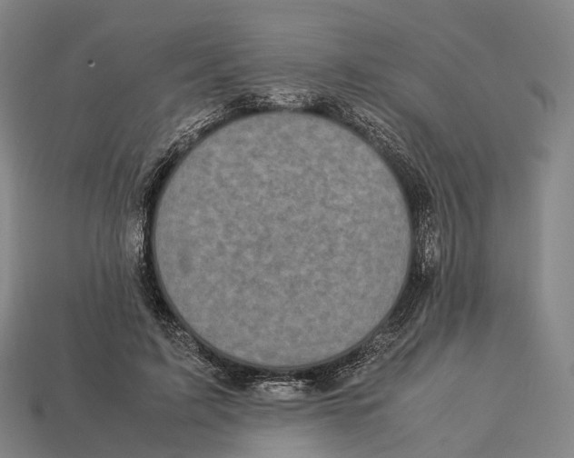 X0000113110595200909251054
