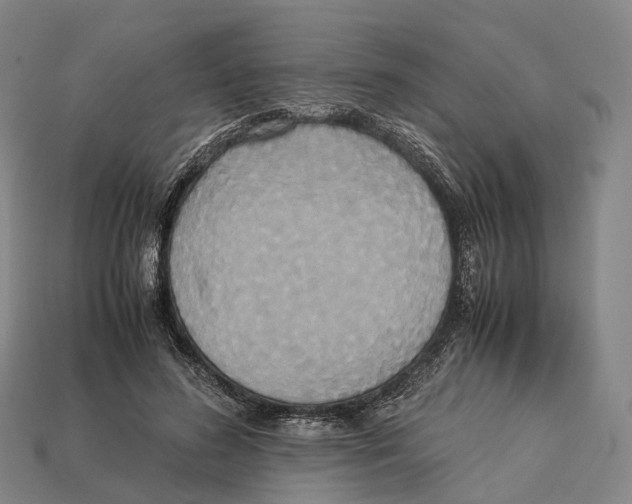 X0000113110596200909251054