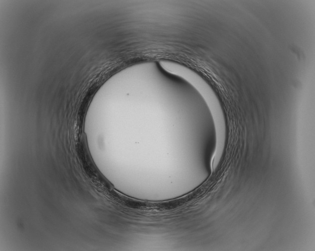 X0000113110597200909251054