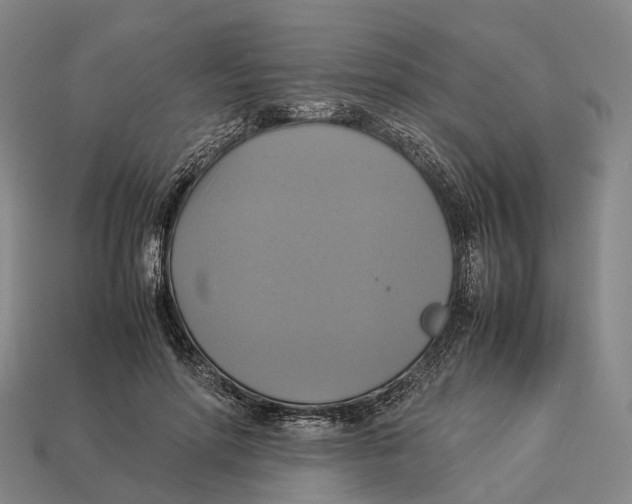 X0000113110598200909251054