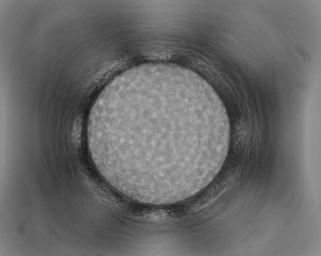 X0000113110600200909251054