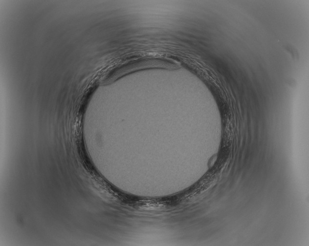 X0000113110601200909251054