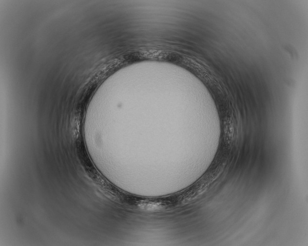 X0000113110602200909251054