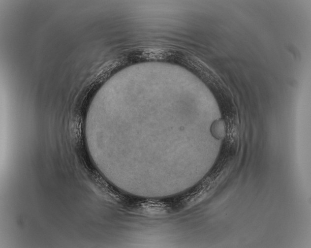 X0000113110603200909251054