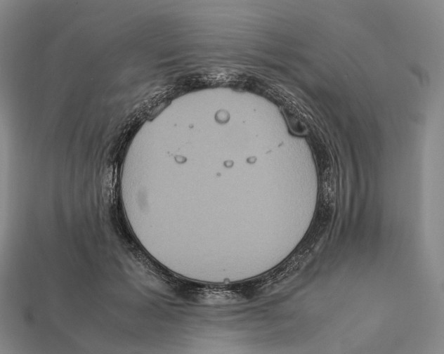 X0000113110605200909251054
