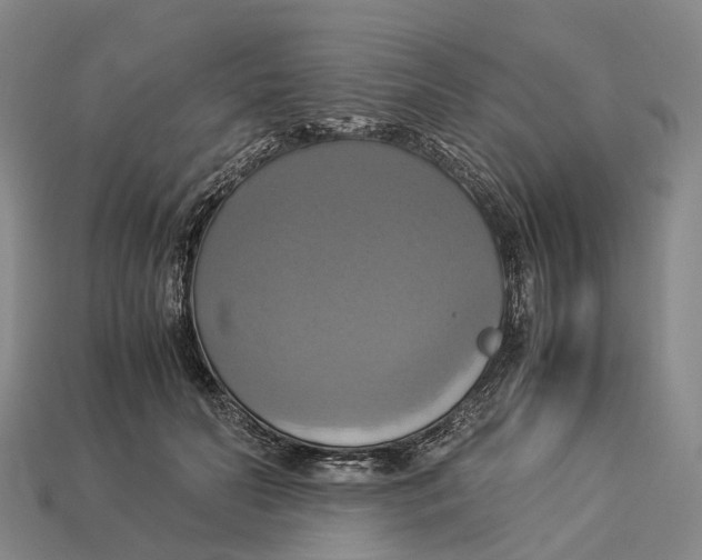 X0000113110606200909251054