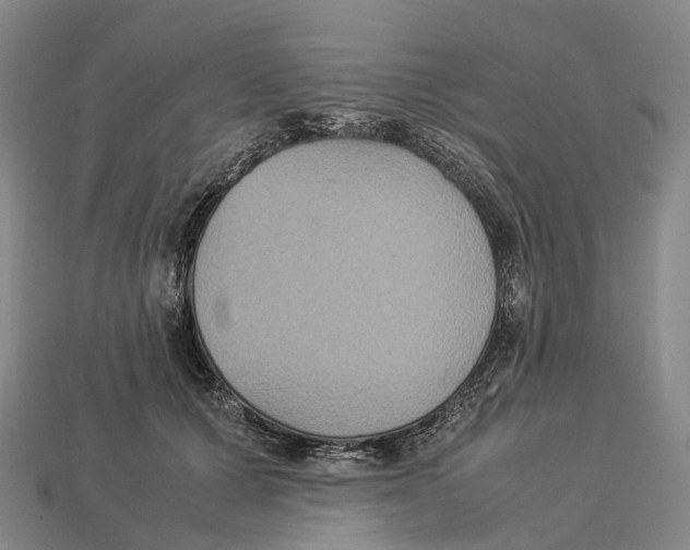 X0000113110607200909251054