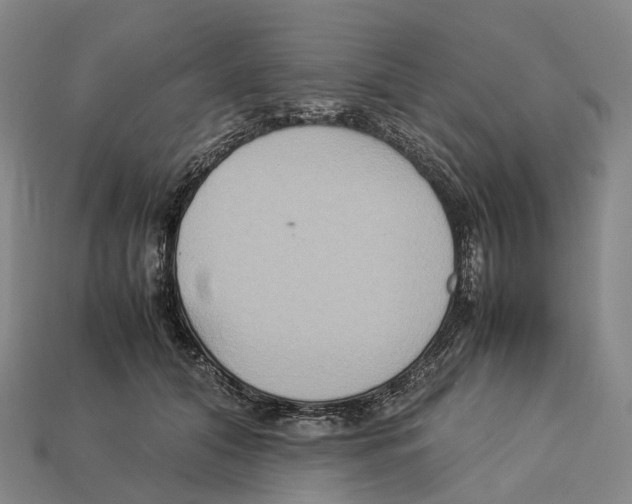 X0000113110608200909251054