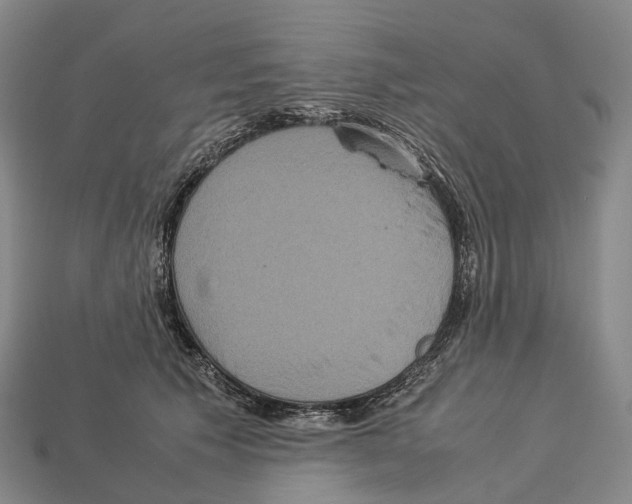 X0000113110609200909251054