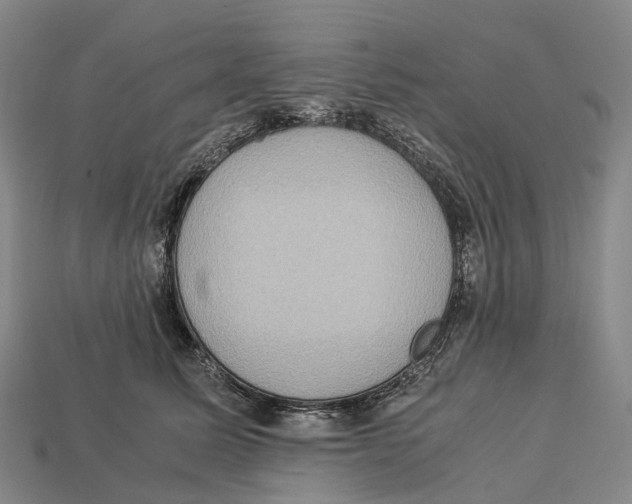 X0000113110611200909251054