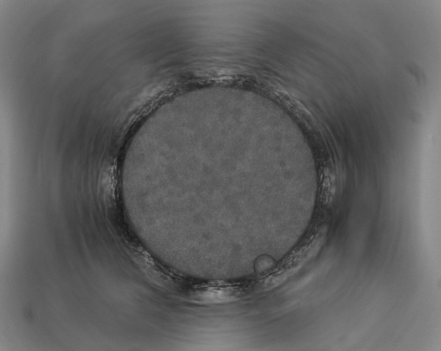 X0000113110612200909251054