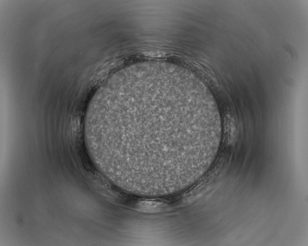 X0000113110614200909251054
