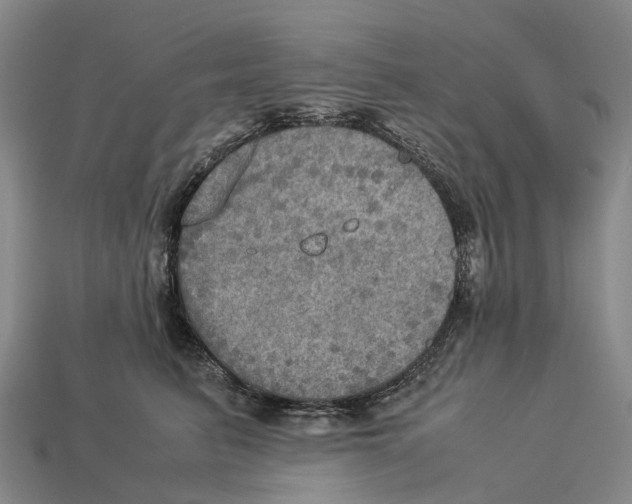 X0000113110615200909251054