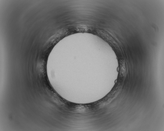 X0000113110616200909251054