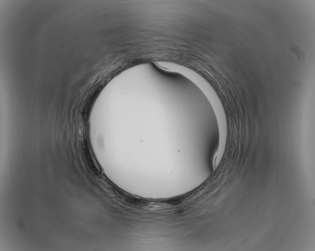 X0000113110617200909251054