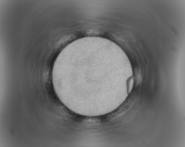 X0000113110619200909251053