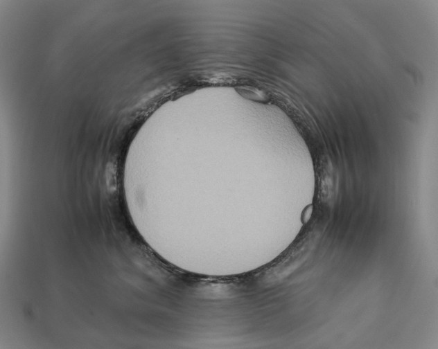 X0000113110620200909251053