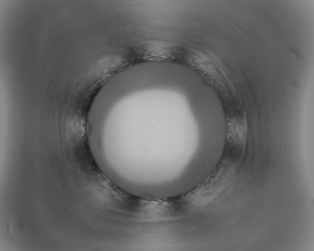 X0000113110621200909251053