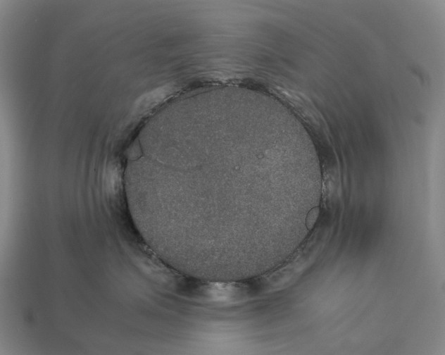 X0000113110623200909251053