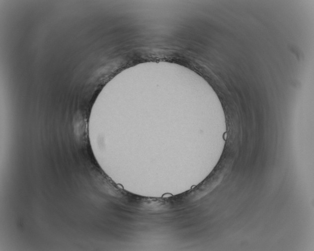 X0000113110624200909251053