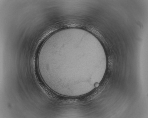 X0000113110626200909251053