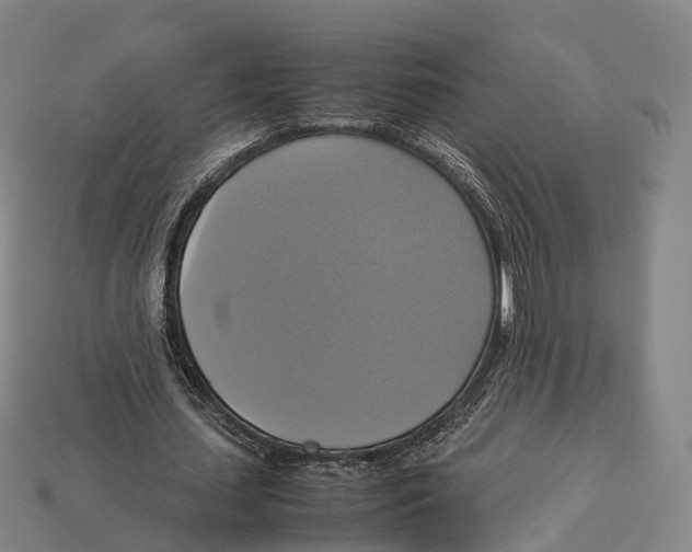 X0000113110627200909251053