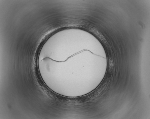 X0000113110628200909251053
